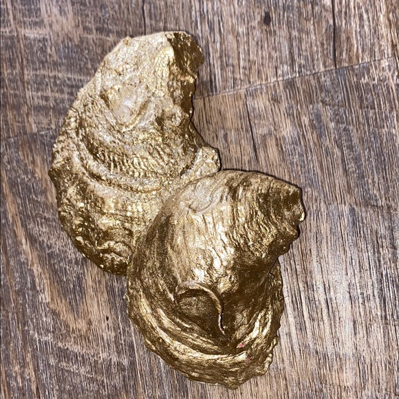 Decorative Oyster Shells - Picture 4 of 4